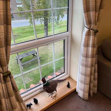 Мини-отель The Star