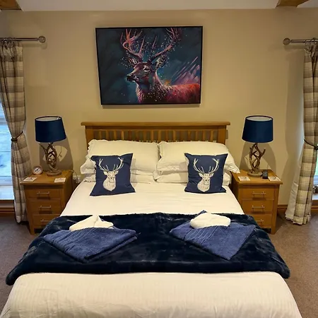 The Star Мини-отель